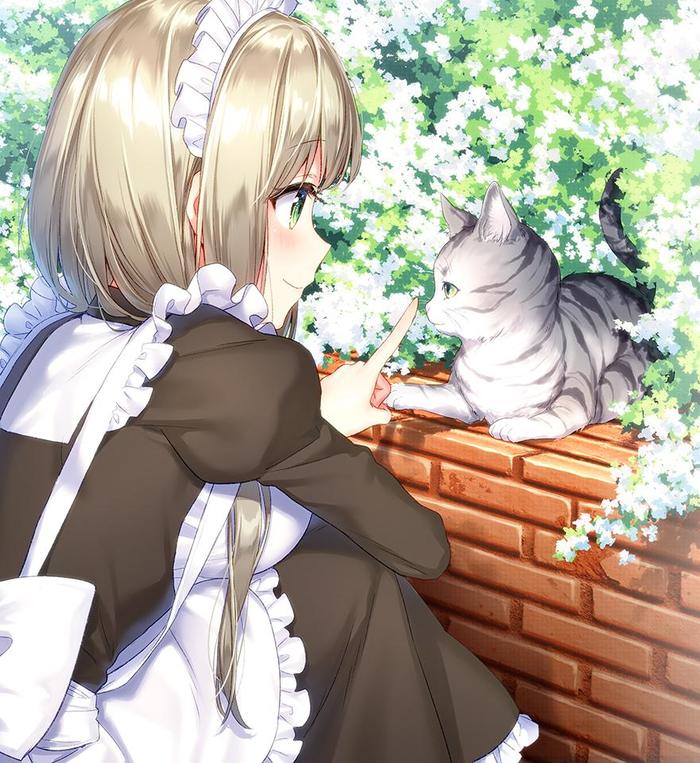 猫咪女仆_猫咪女仆_猫咪女仆