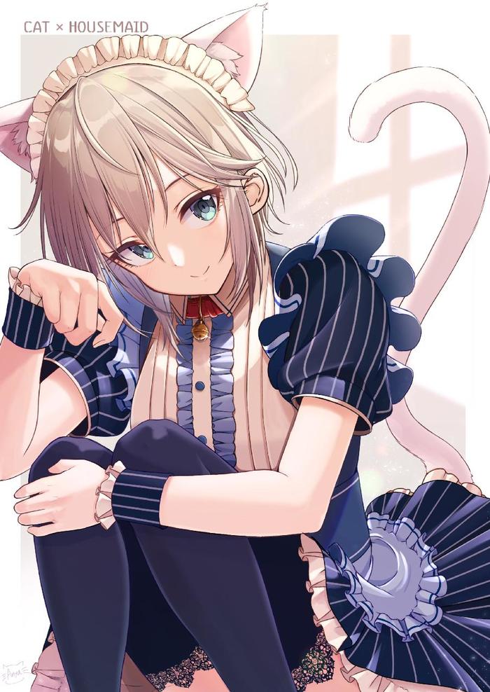 猫咪女仆_猫咪女仆_猫咪女仆