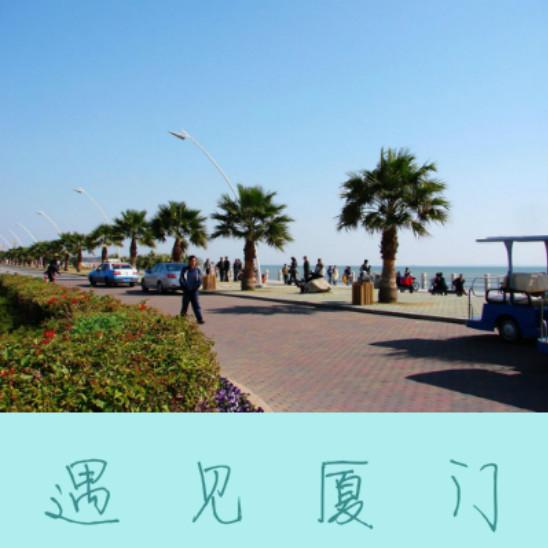 陌友_陌友园是真的假的_陌友探聊这个软件怎么样
