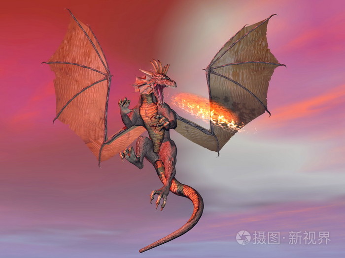 驯龙高手小游戏_驯龙高手游戏_驯龙高手的游戏