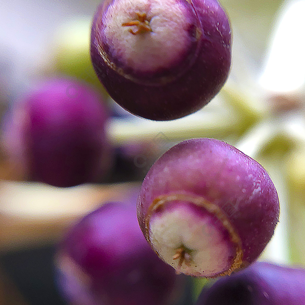 西安枫林意树_意树男装官网_意树