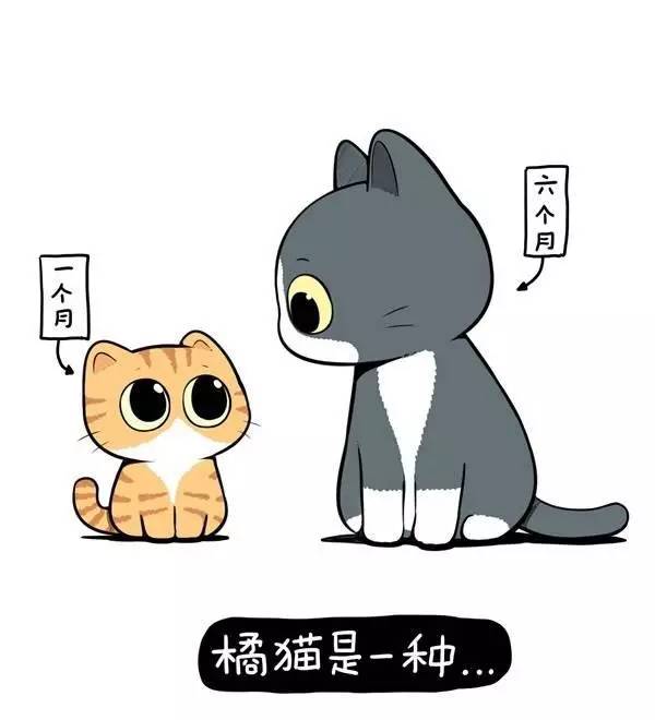 成人无遮挡黄漫yy漫画免费_成人无遮挡黄漫yy漫画免费_成人无遮挡黄漫yy漫画免费