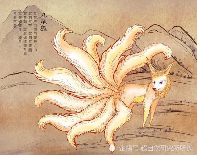 十尾狐_十尾狐_十尾狐