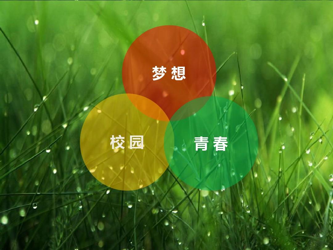 伊鲁卡_伊鲁卡父母是谁_伊鲁卡的伤疤怎么来的