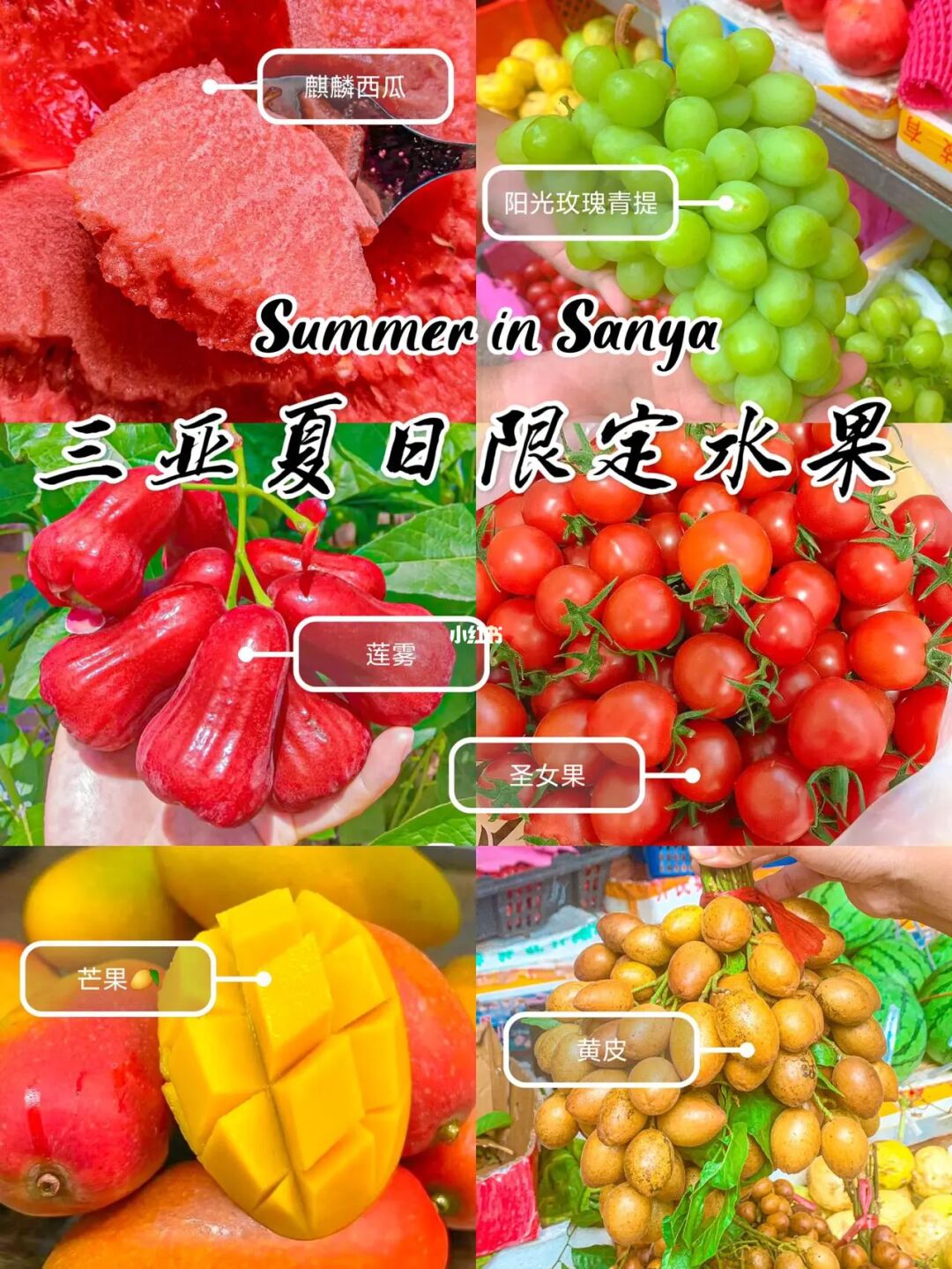 凉香是什么调料_凉香_凉香葡萄