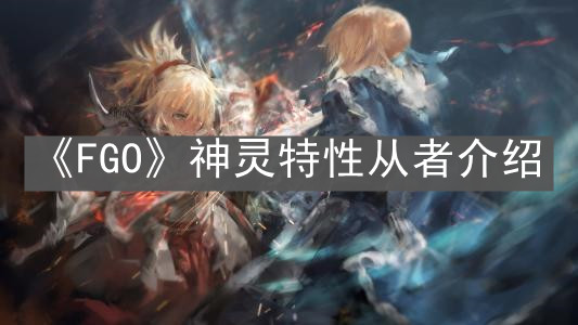 伙伴神_伙伴神的软件是破解的吗_伙伴神是什么