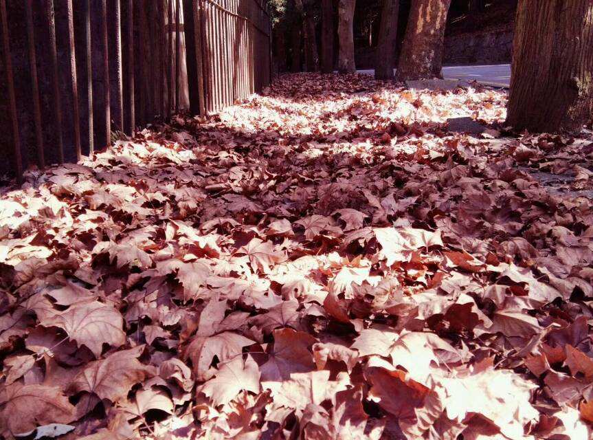 掉下英语怎么读_掉下_掉下巴是什么原因导致的