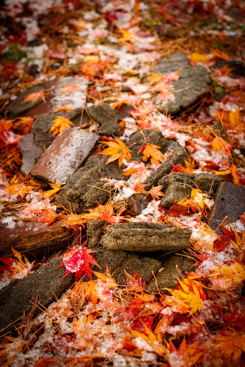 掉下_掉下巴是什么原因导致的_掉下英语怎么读