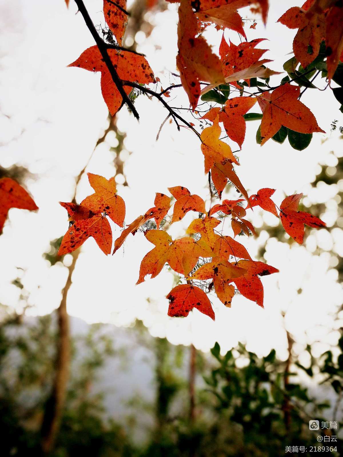 掉下_掉下巴是什么原因导致的_掉下英语怎么读