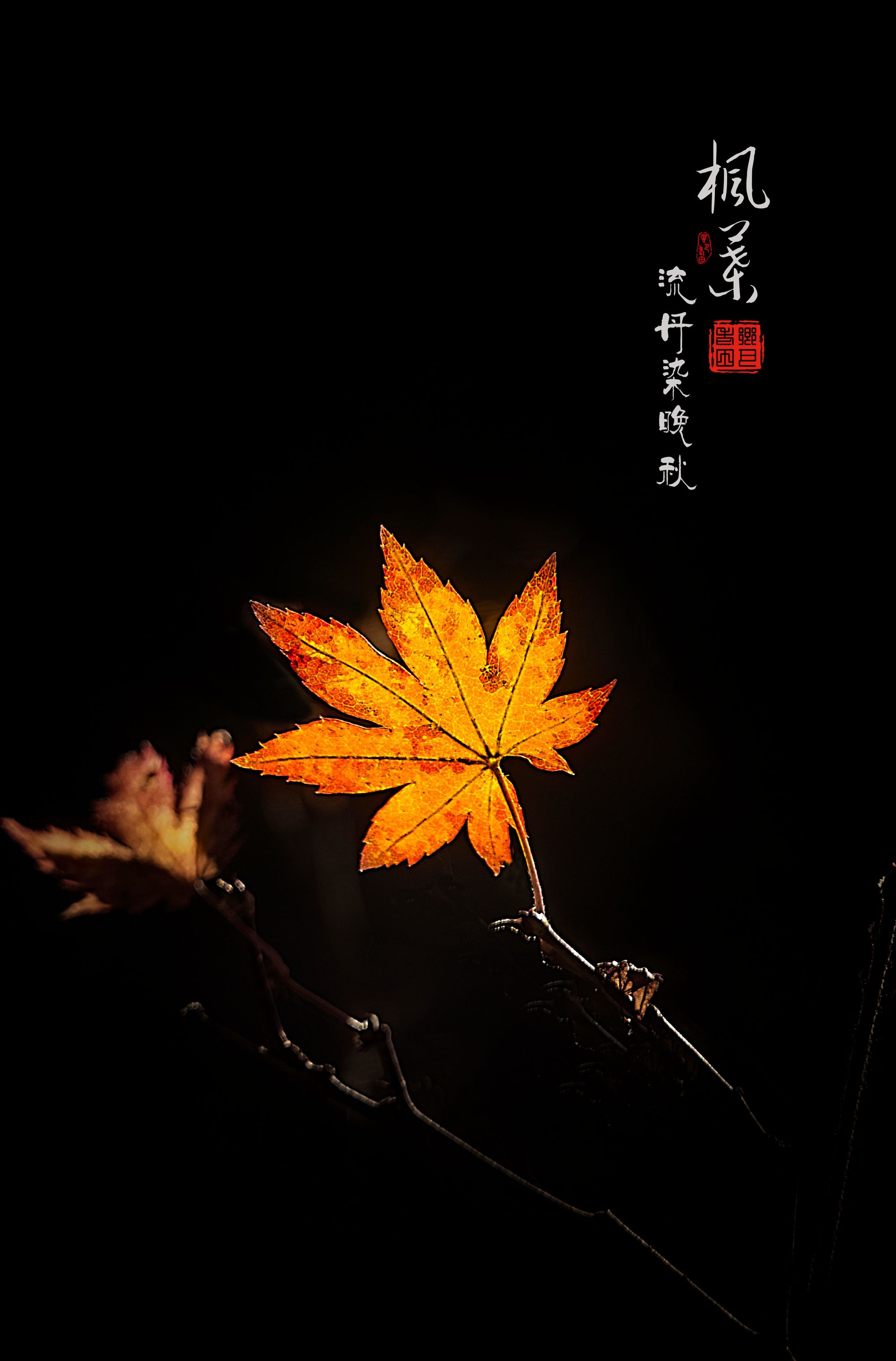 掉下_掉下巴是什么原因导致的_掉下英语怎么读