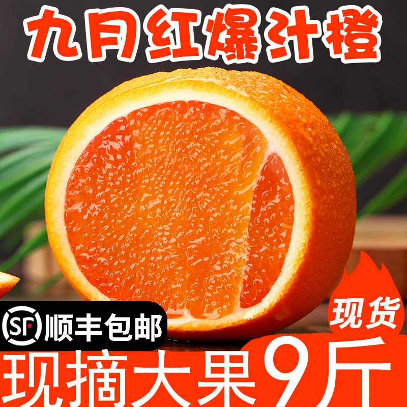 瓜橙子拼盘怎么做_橙瓜_瓜橙子