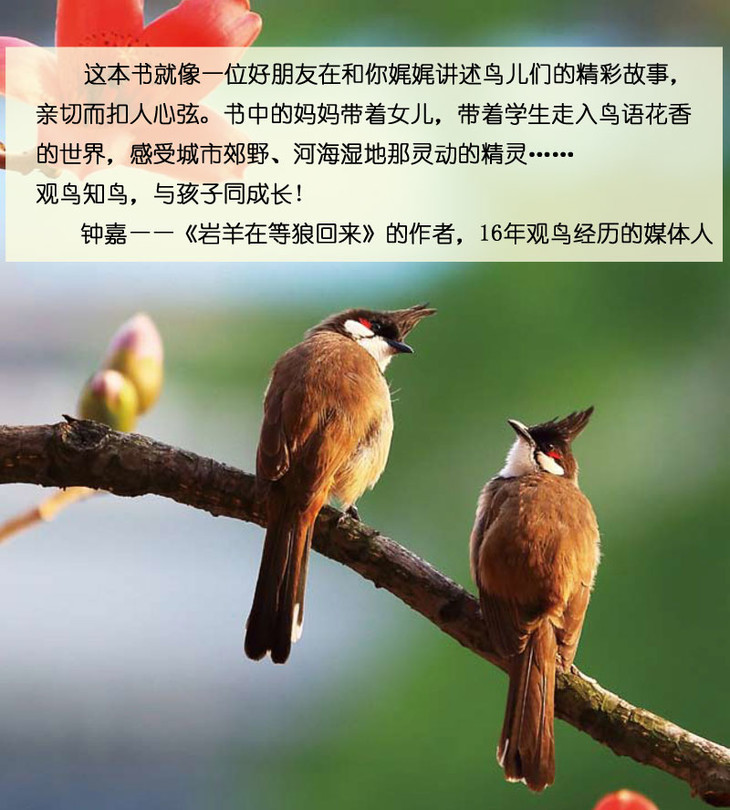 猜下是什么意思_猜下是谁_你猜我猜不猜的下一句是什么