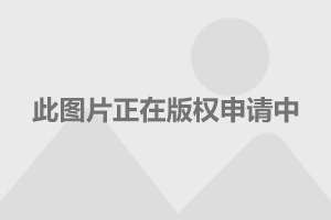 棋盘游戏_棋盘游戏术语及比喻义是什么_棋盘游戏大全app