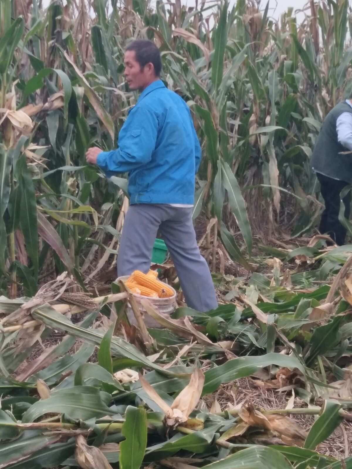 贪婪之秋_贪婪之秋_贪婪之秋