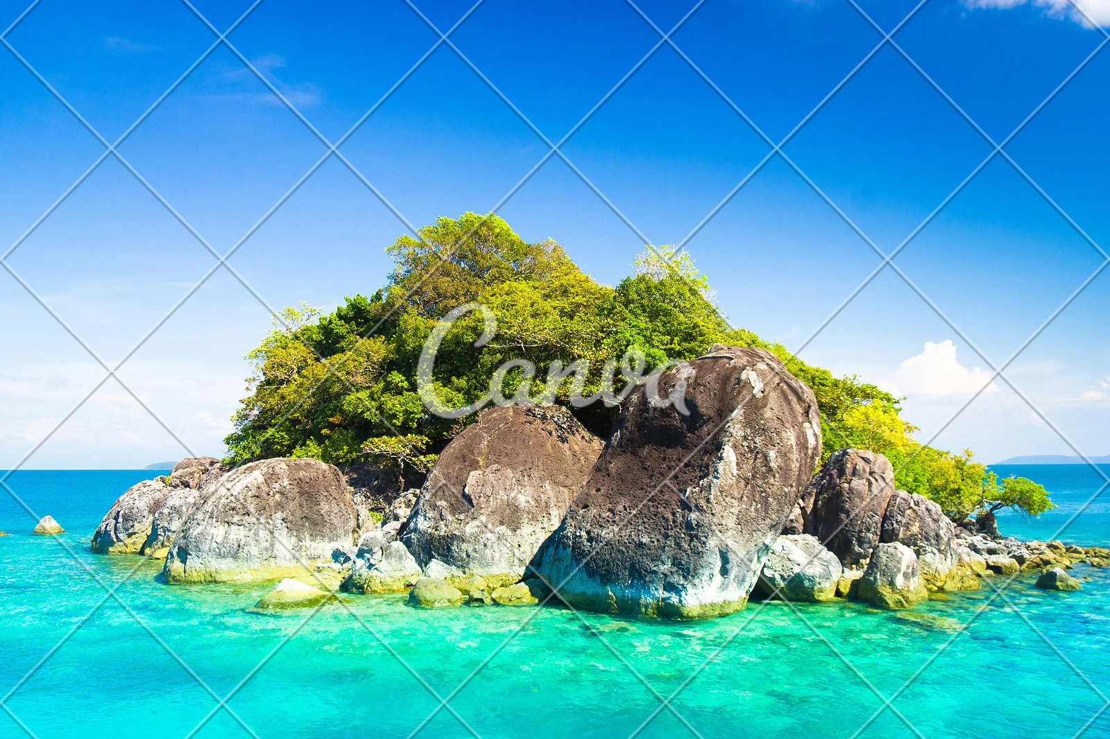 梦幻海岛主_梦幻岛主角_梦幻岛海报