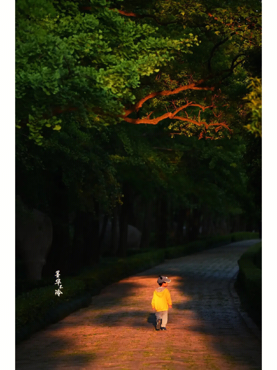 什么无言_无言的结局_无言谁唱的