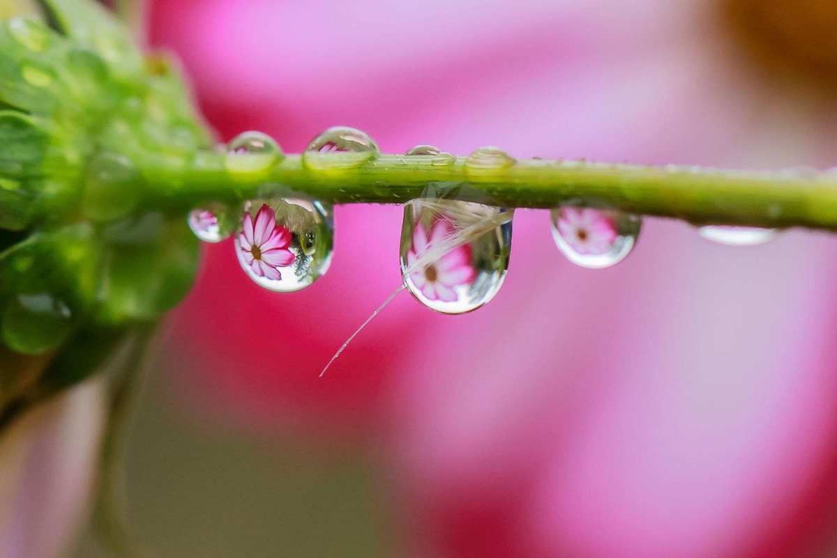 甘雨触摸器_甘雨触摸器_甘雨触摸器