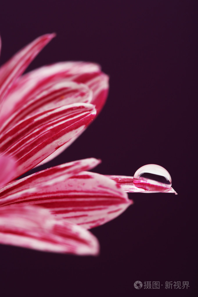 甘雨触摸器_甘雨触摸器_甘雨触摸器