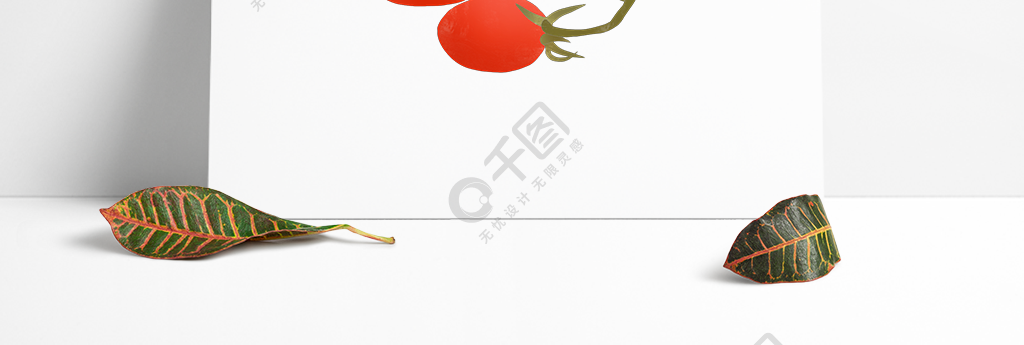 番茄短视频_番茄短视频改名了吗_番茄视频的内容