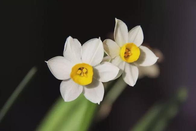 神明少女_神明少女是汉服还是和服_神明少女头像