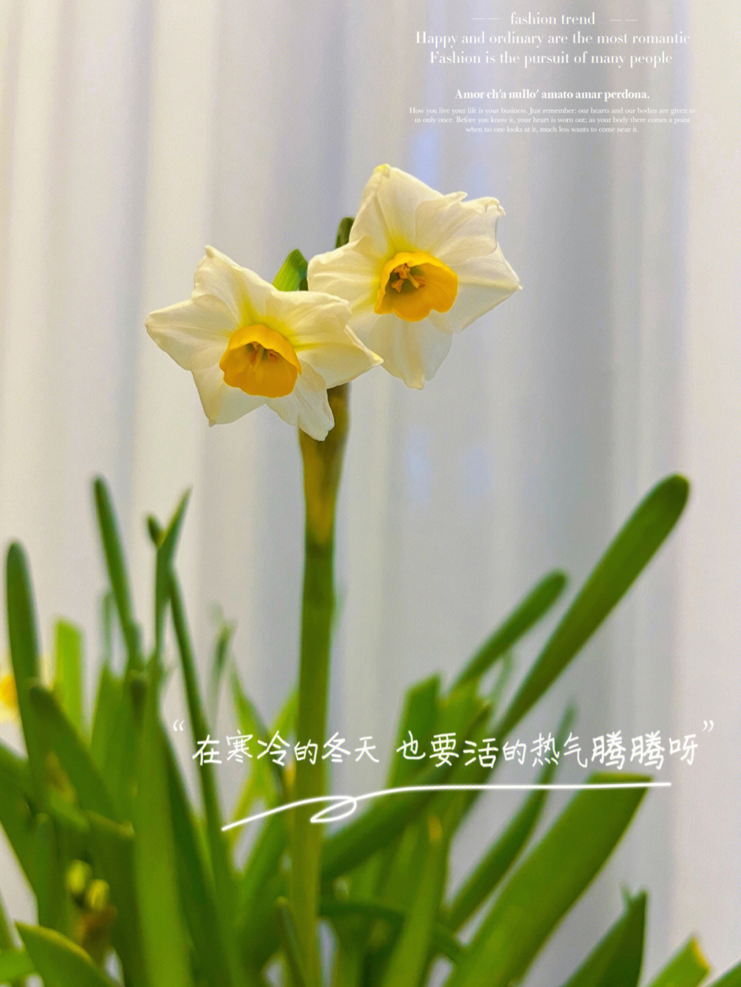 神明少女是汉服还是和服_神明少女_神明少女头像