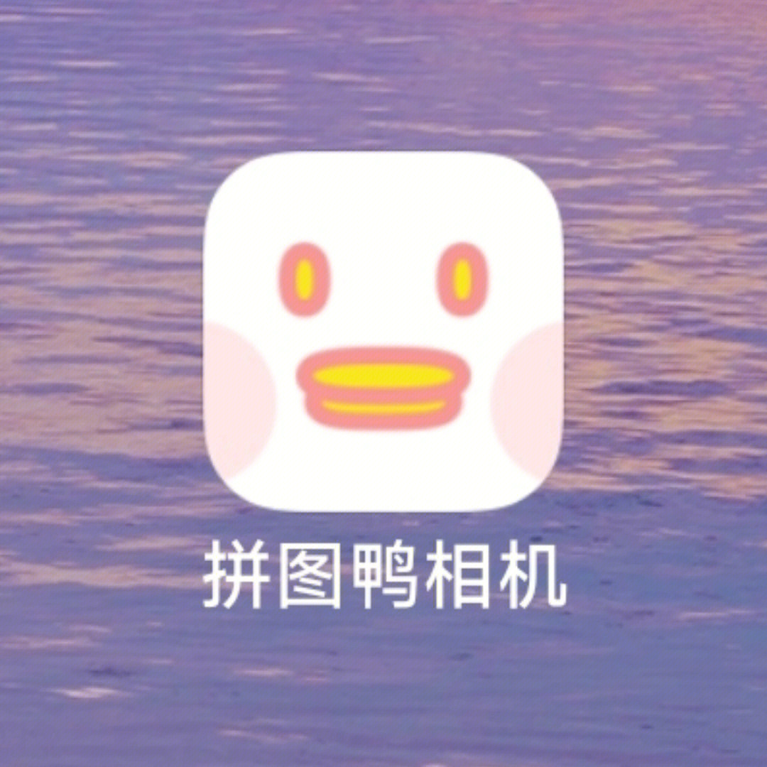 拼图鸭相机下载_拼图鸭app_拼图鸭相机app下载