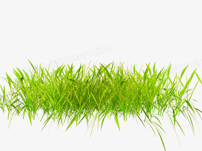 青青草app污_青青草app污_青青草app污