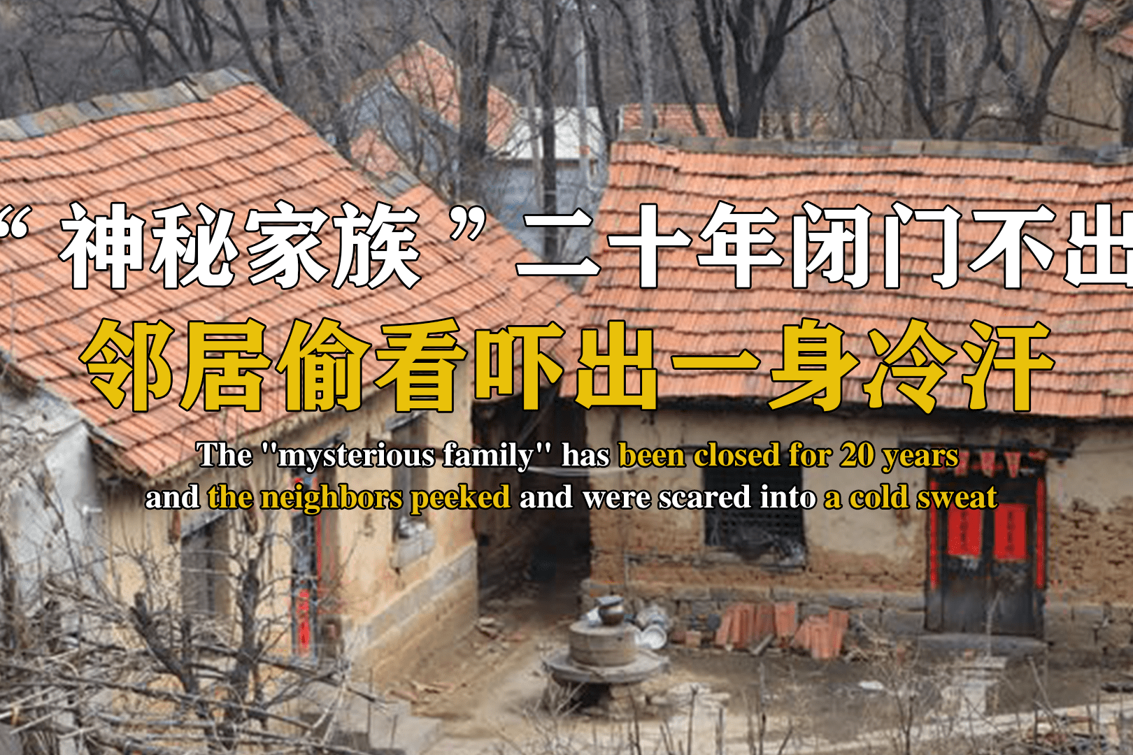 邻居神秘消失_邻居神秘感是啥_神秘邻居