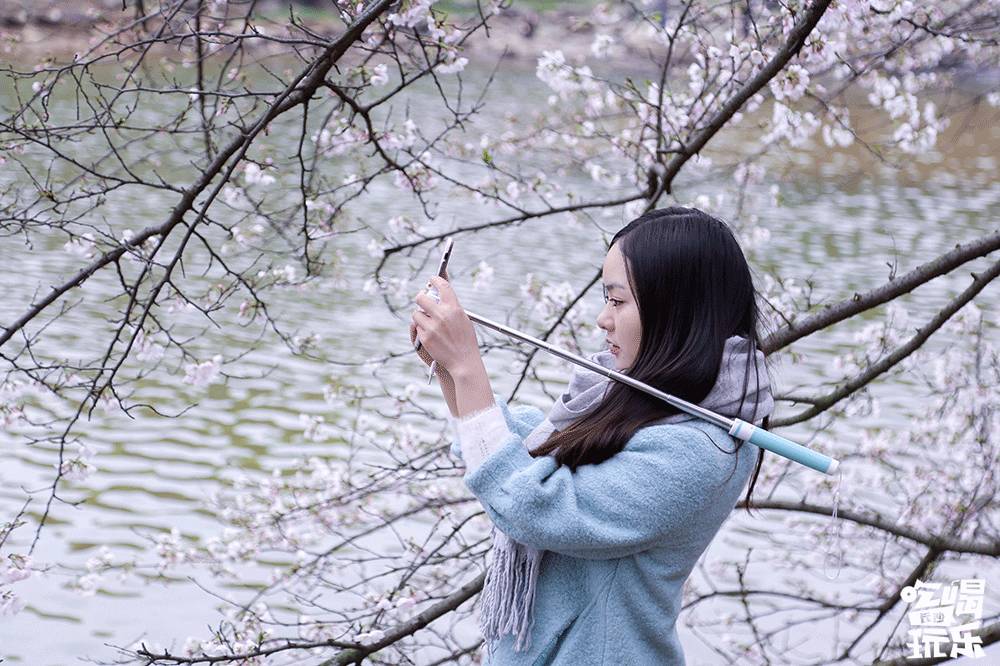 樱花美女直播_樱花美女直播_樱花美女直播