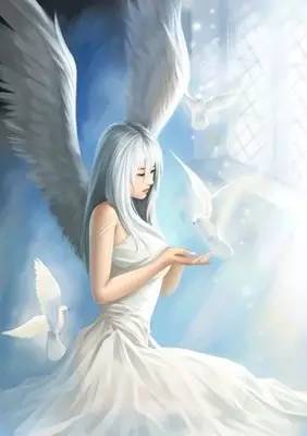 我们是天使_天使是男孩还是女孩_天使是指什么样的人