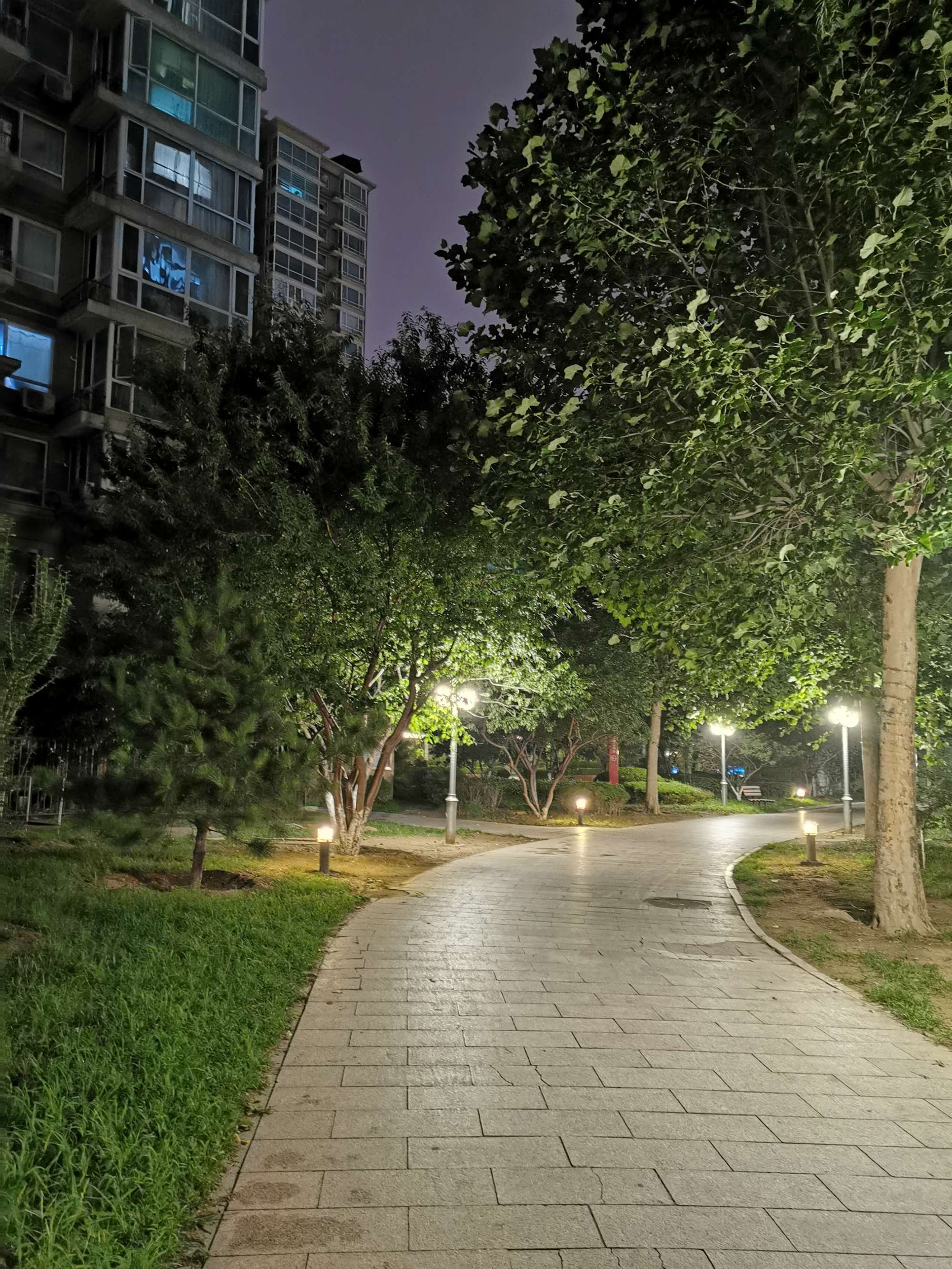夜间app下载免费大全ios_十大禁用夜间app_夜间app
