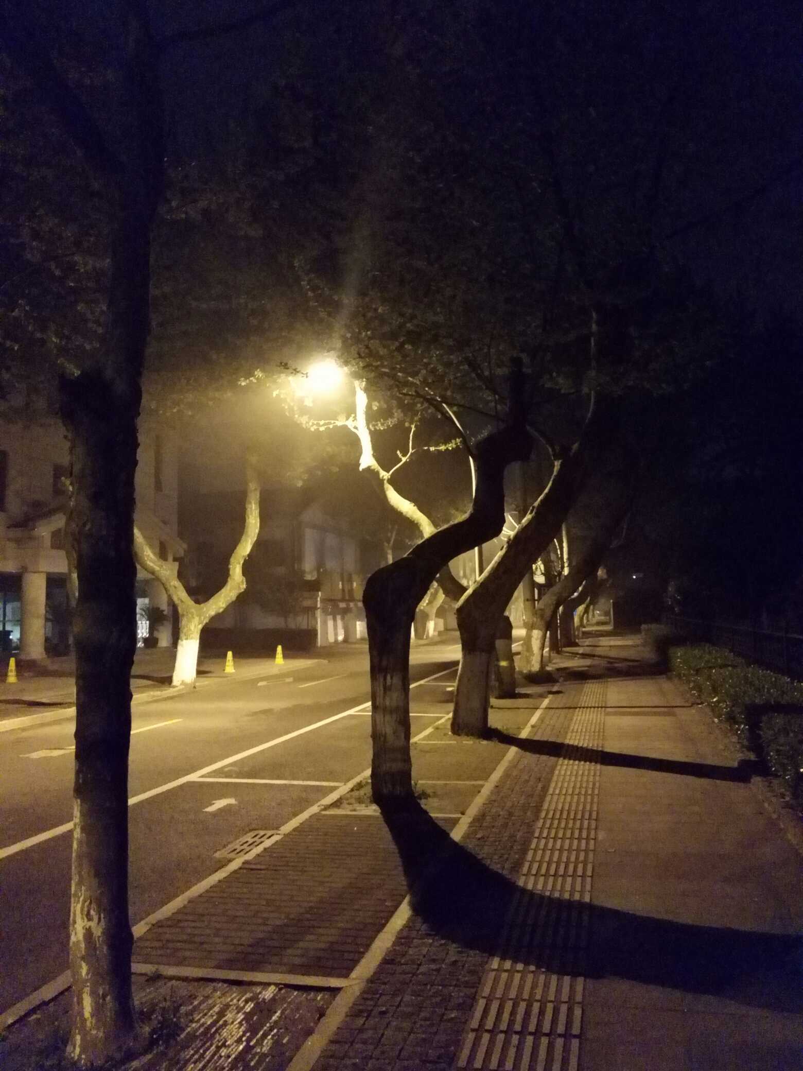 十大禁用夜间app_夜间app_夜间app下载免费大全ios