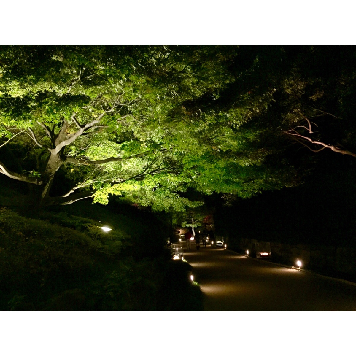 十大禁用夜间app_夜间app_夜间app下载免费大全ios