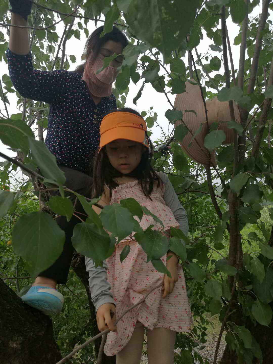 外婆的小农院_外婆的小农院_外婆的小农院