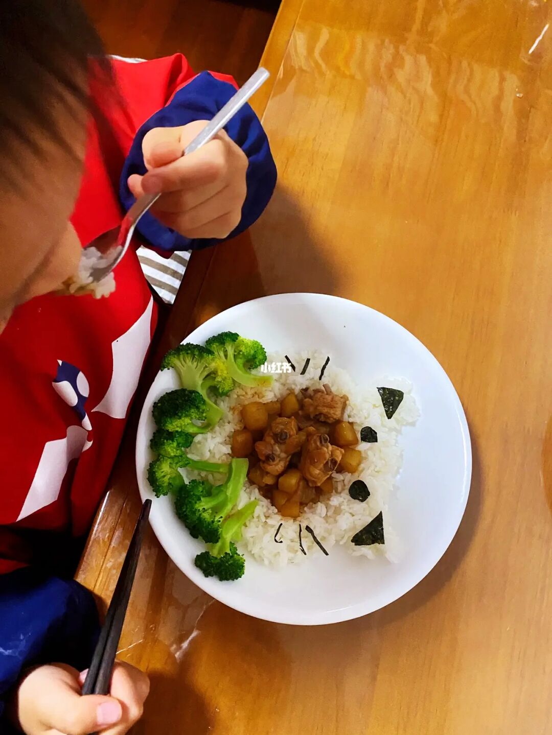 猫饭可以代替猫粮吗_猫饭鸡胸肉的做法大全_猫饭
