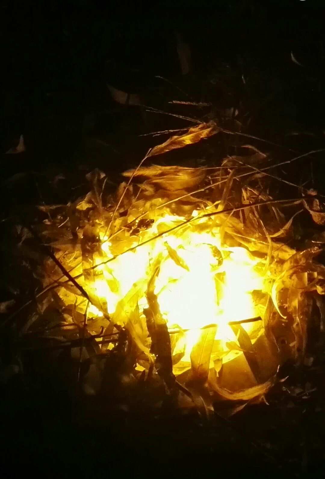 末炎和炎不破_末炎_奥奇传说炎不破h末炎