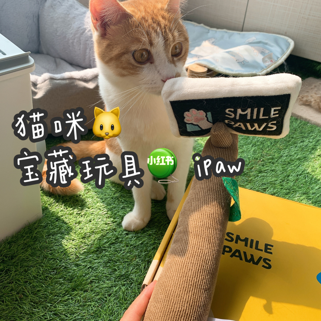 猫咪闯关游戏_猫咪闯关的游戏叫什么_猫咪闯关