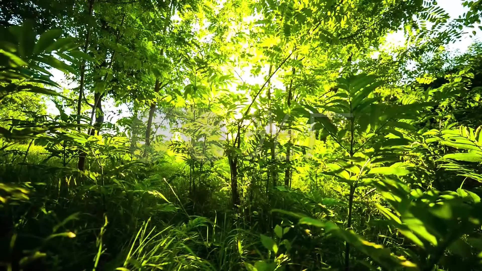 温思慕贺宴辞小说_温思儿_温思