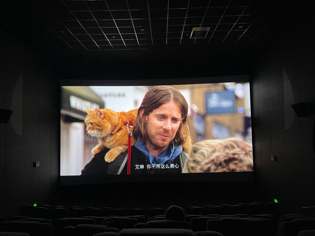 照顾可爱的小猫猫下载_遇见你的猫下载_快猫怎么下载