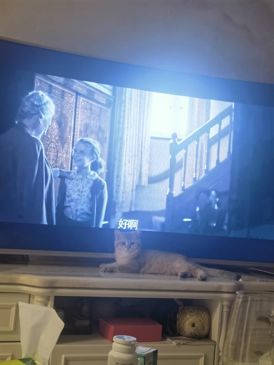 遇见你的猫下载_照顾可爱的小猫猫下载_快猫怎么下载