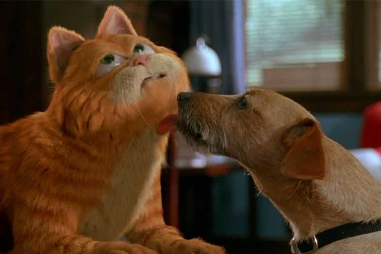 照顾可爱的小猫猫下载_快猫怎么下载_遇见你的猫下载