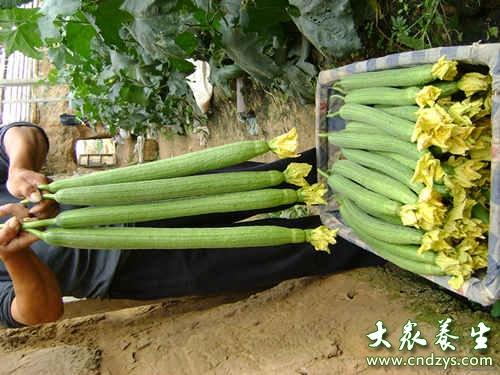 丝瓜app_丝瓜app_丝瓜app