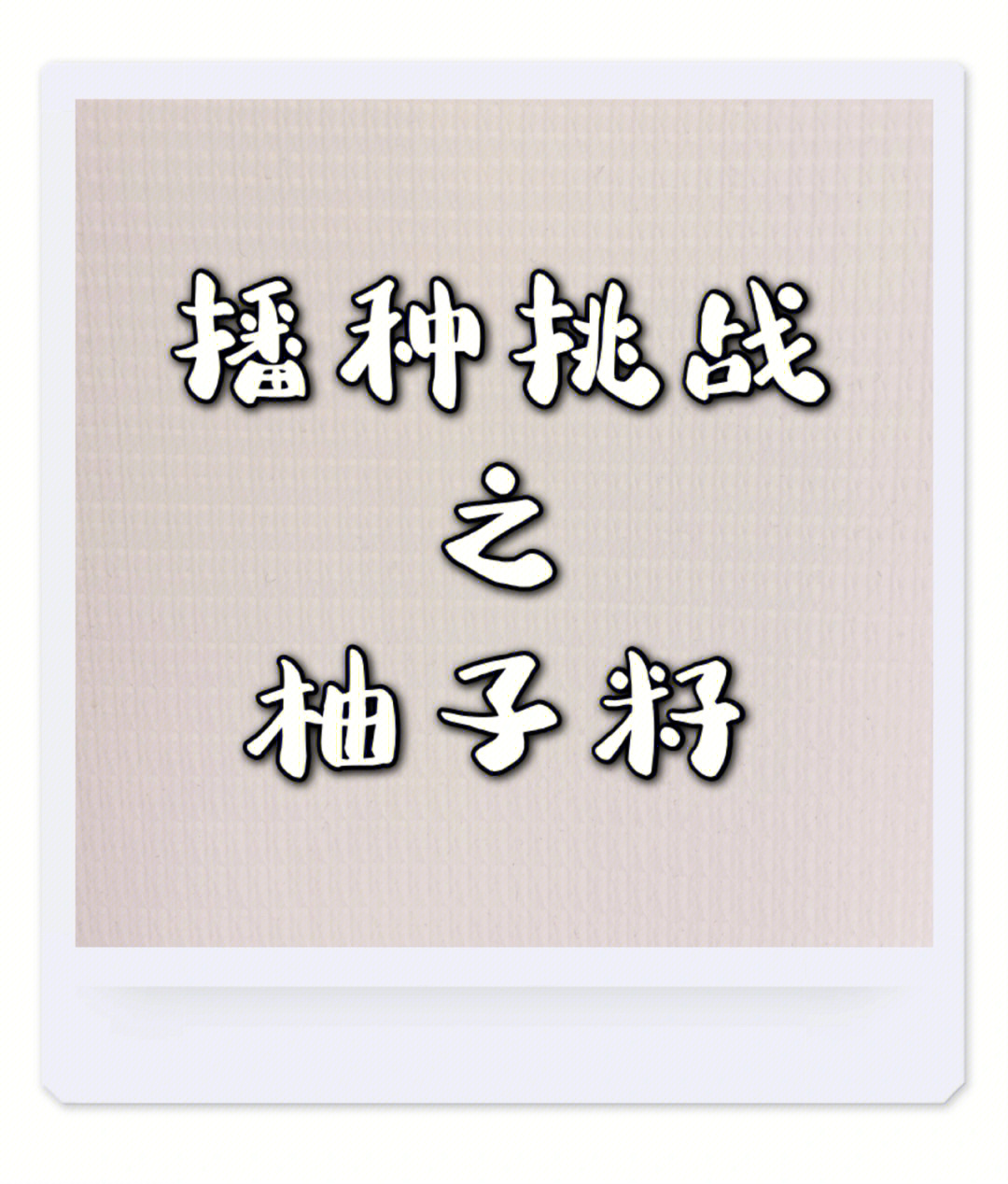 我的世界世界种子_世界种子公司排名_世界种子村庄