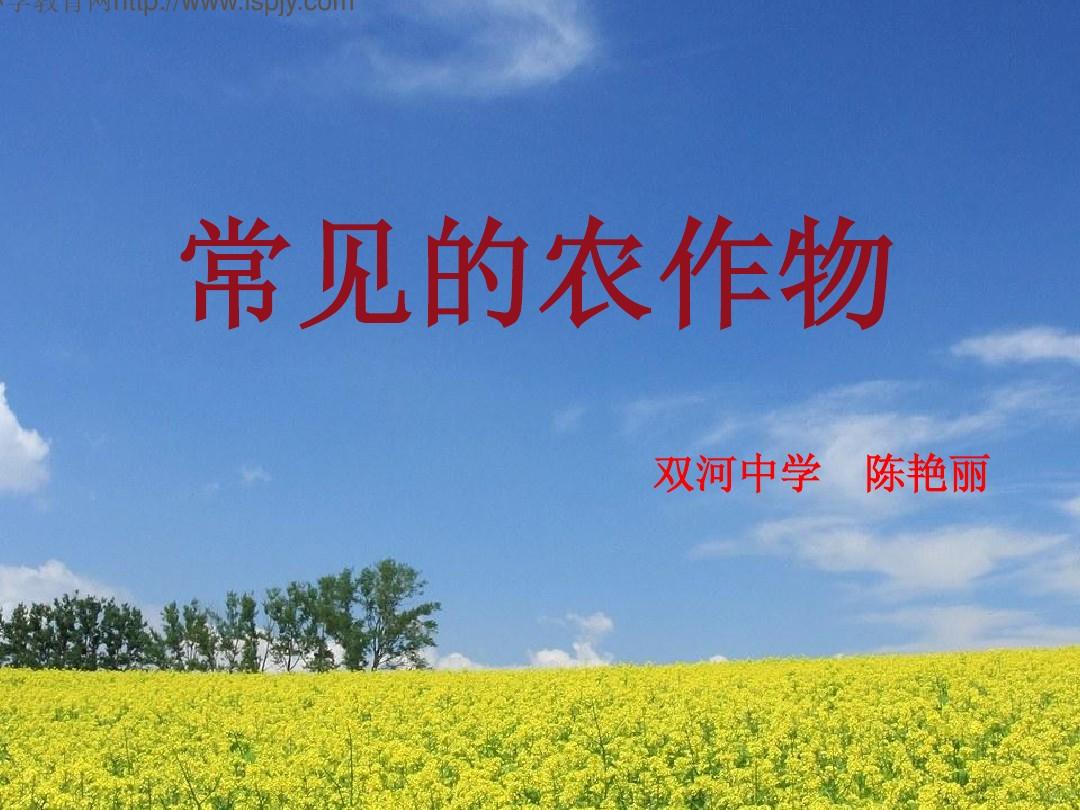 秦仁守_秦仁海运_秦仁