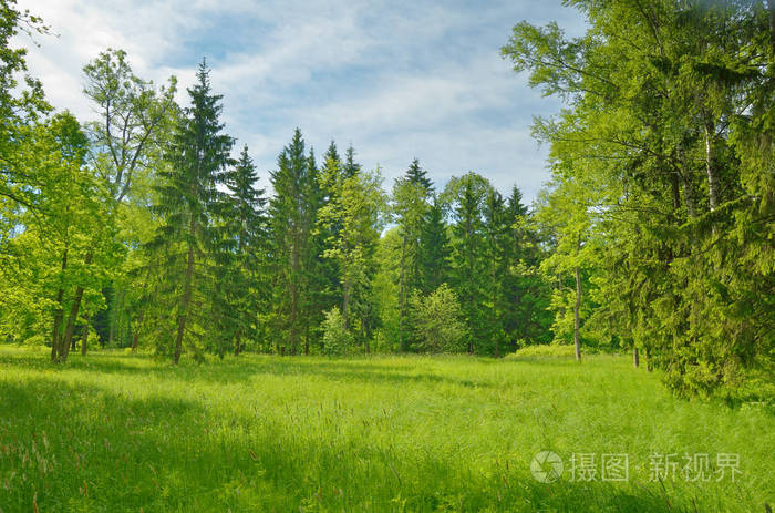 花郁_郁怎么读_越郁