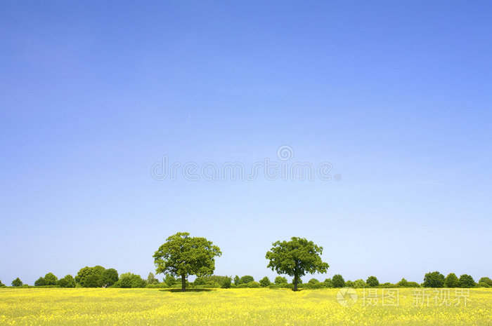 花郁_郁怎么读_越郁