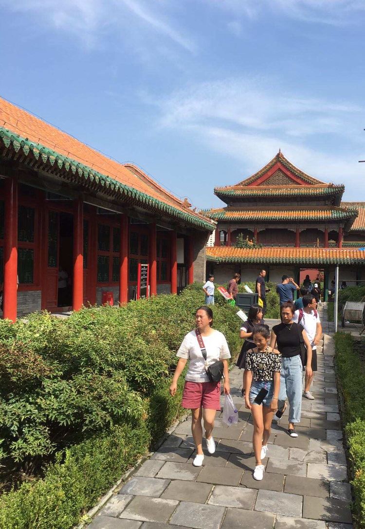 盛京通app下载_盛京通_盛京通可以坐公交吗