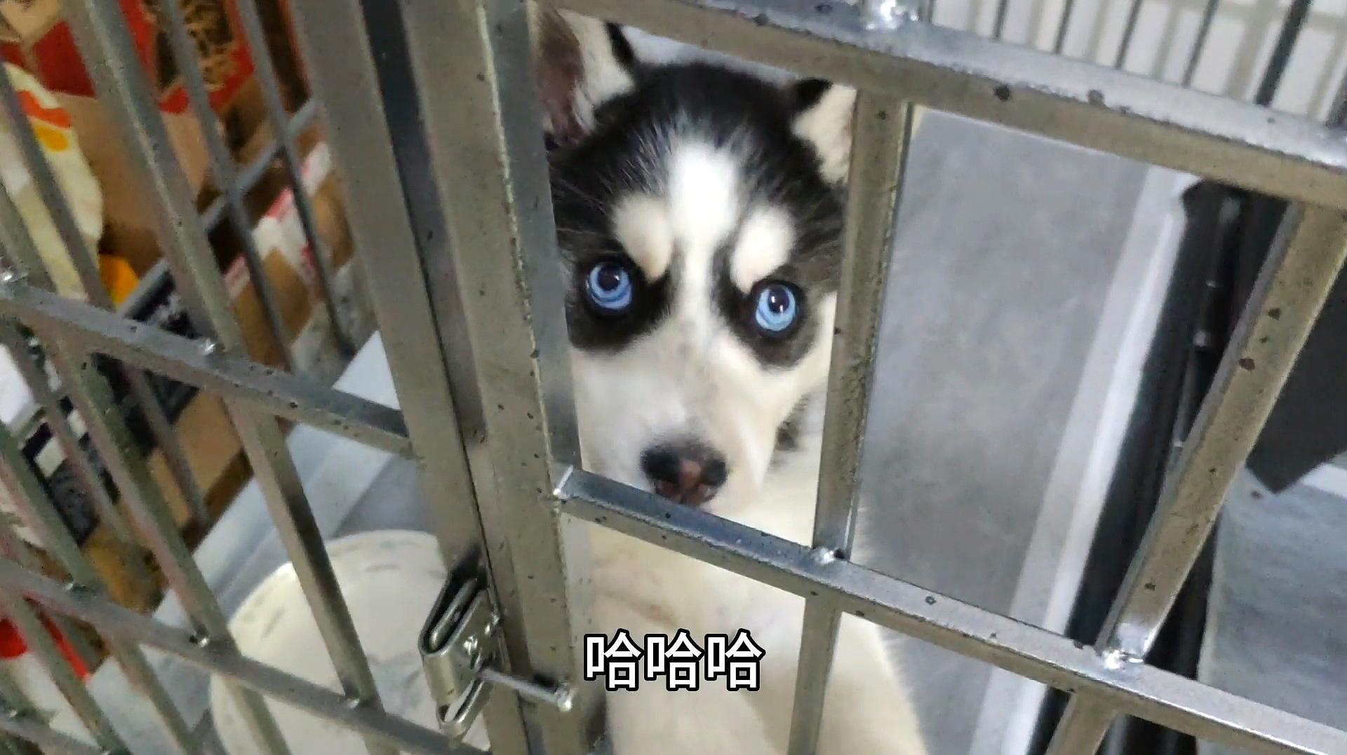 逗拍下载_逗拍下载免费_逗拍下载免费最新版安装