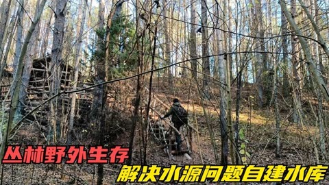 进化手游生存攻略方舟下载_方舟生存进化手游攻略_手游版进化方舟