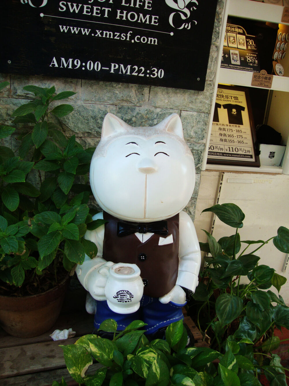 东京猫猫队_东京猫猫队_东京猫猫队